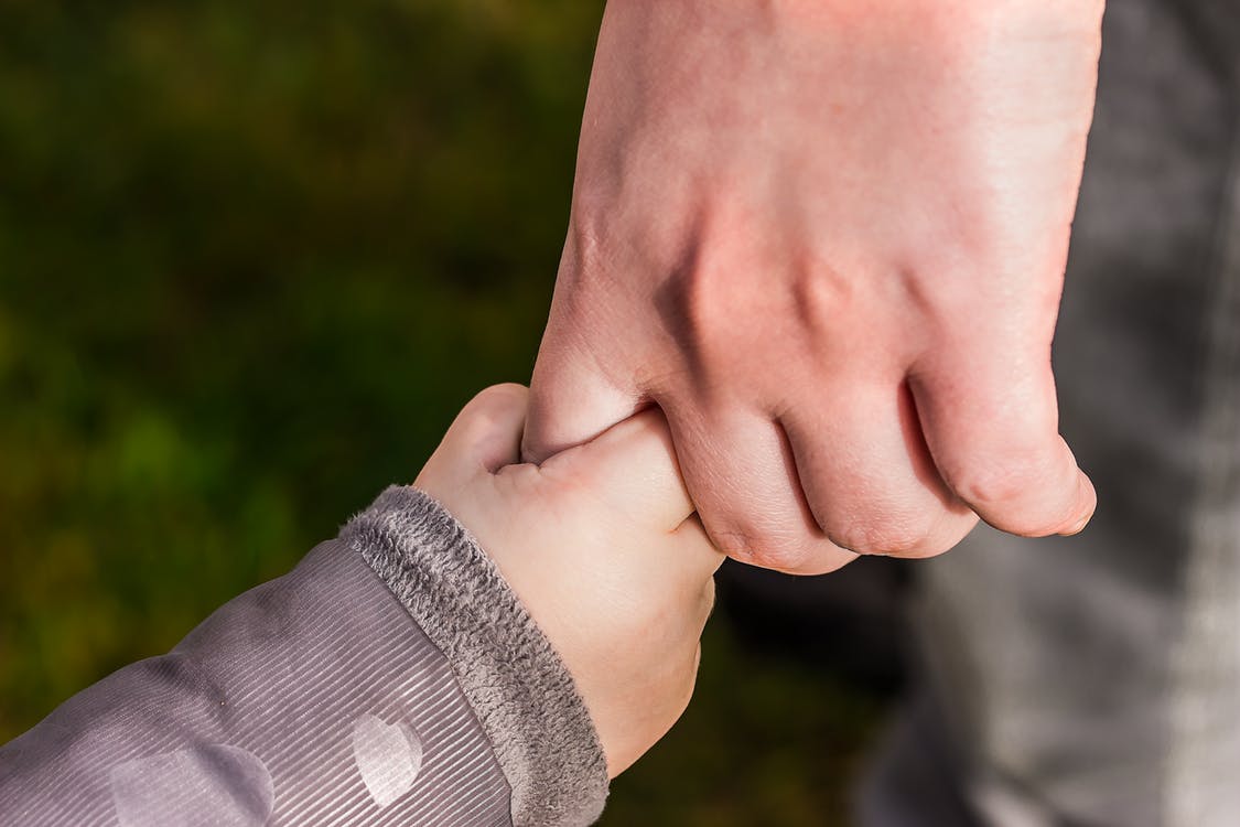 Adult holding a toddler's hand. Family legacy