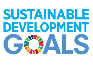 UN Sustainable Development Goals logo