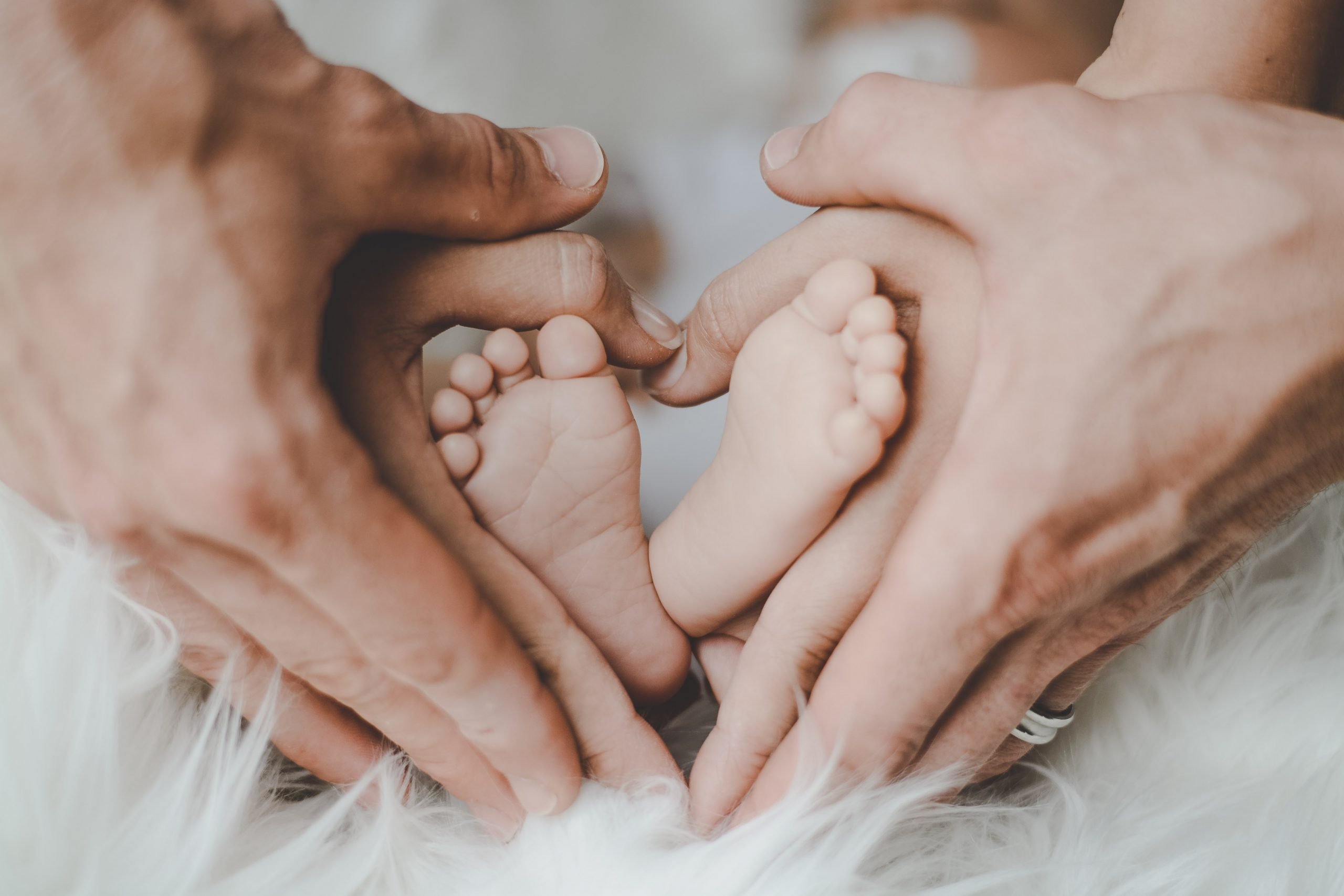 Baby feet wrapped in hands of mother and father to make a shape of a heart